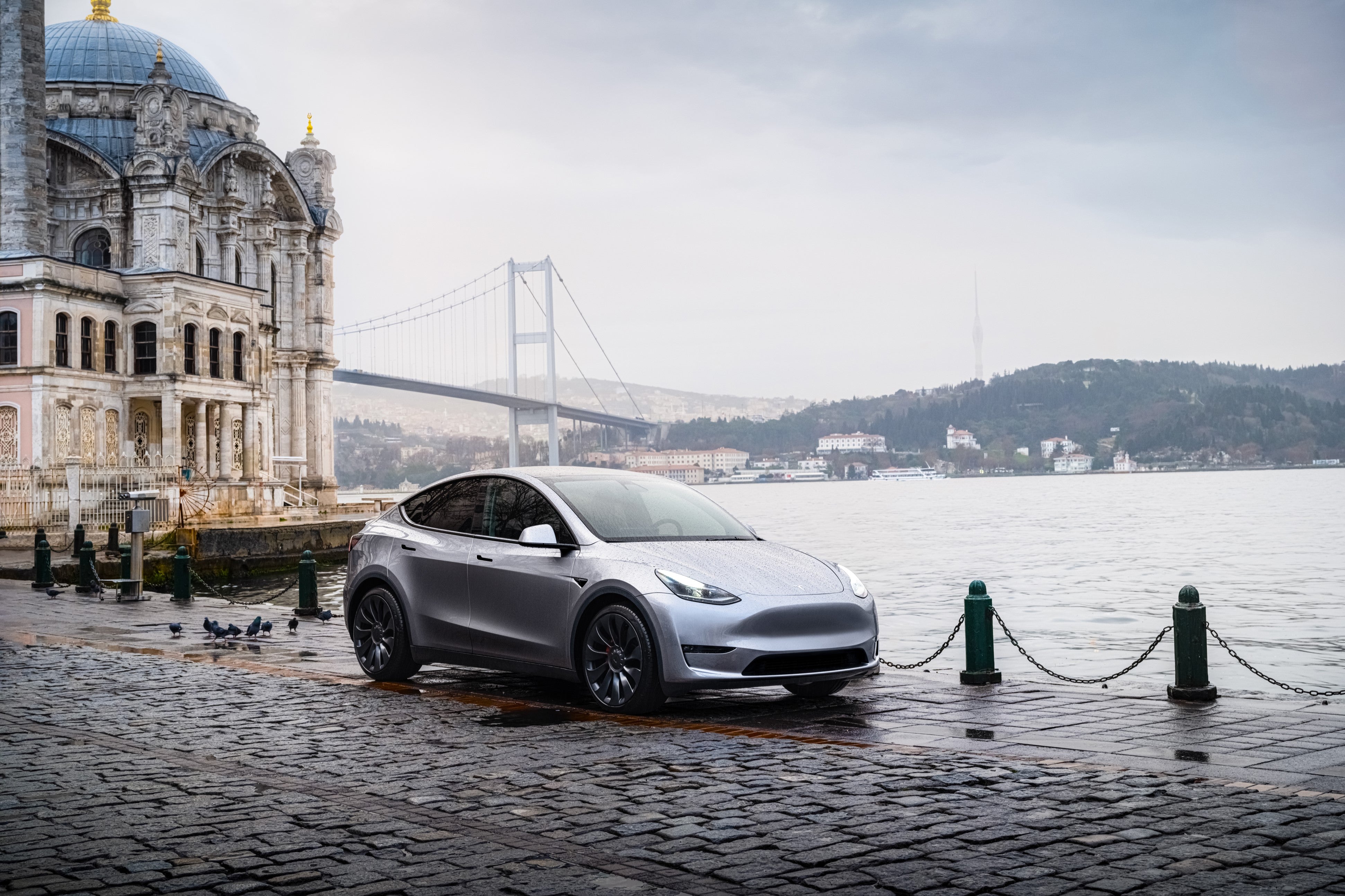 Tesla Model Y Quicksilver