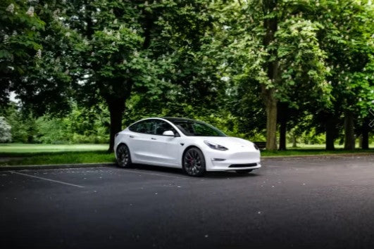 Tesla parkend vor Bäumen