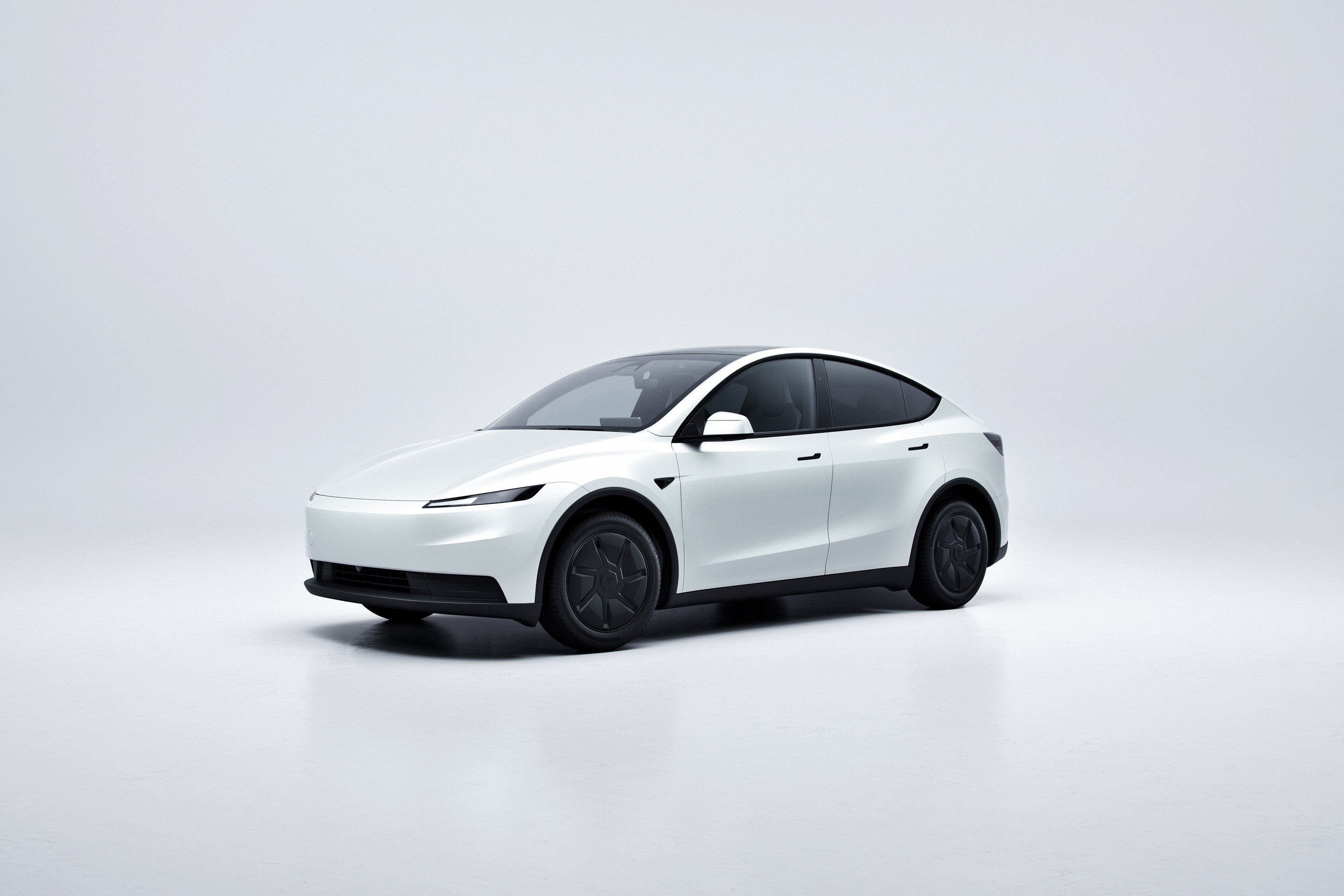 Model Y Standard