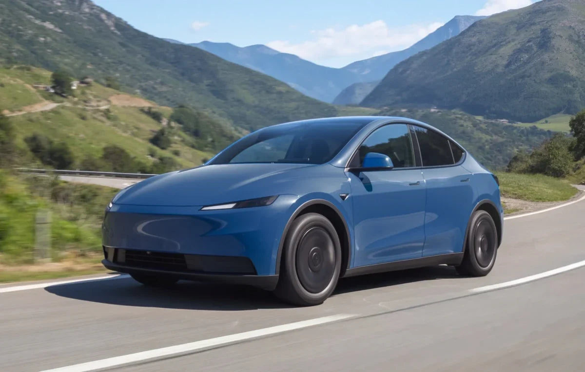 Model Y Standard