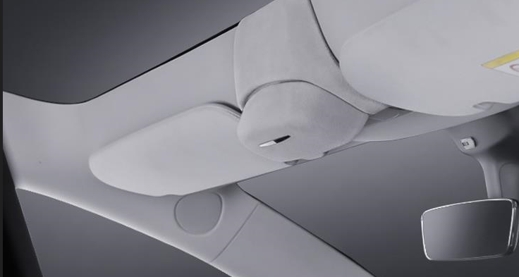 Tesla Model Y Sonnenbrillen Etui Hellgrau