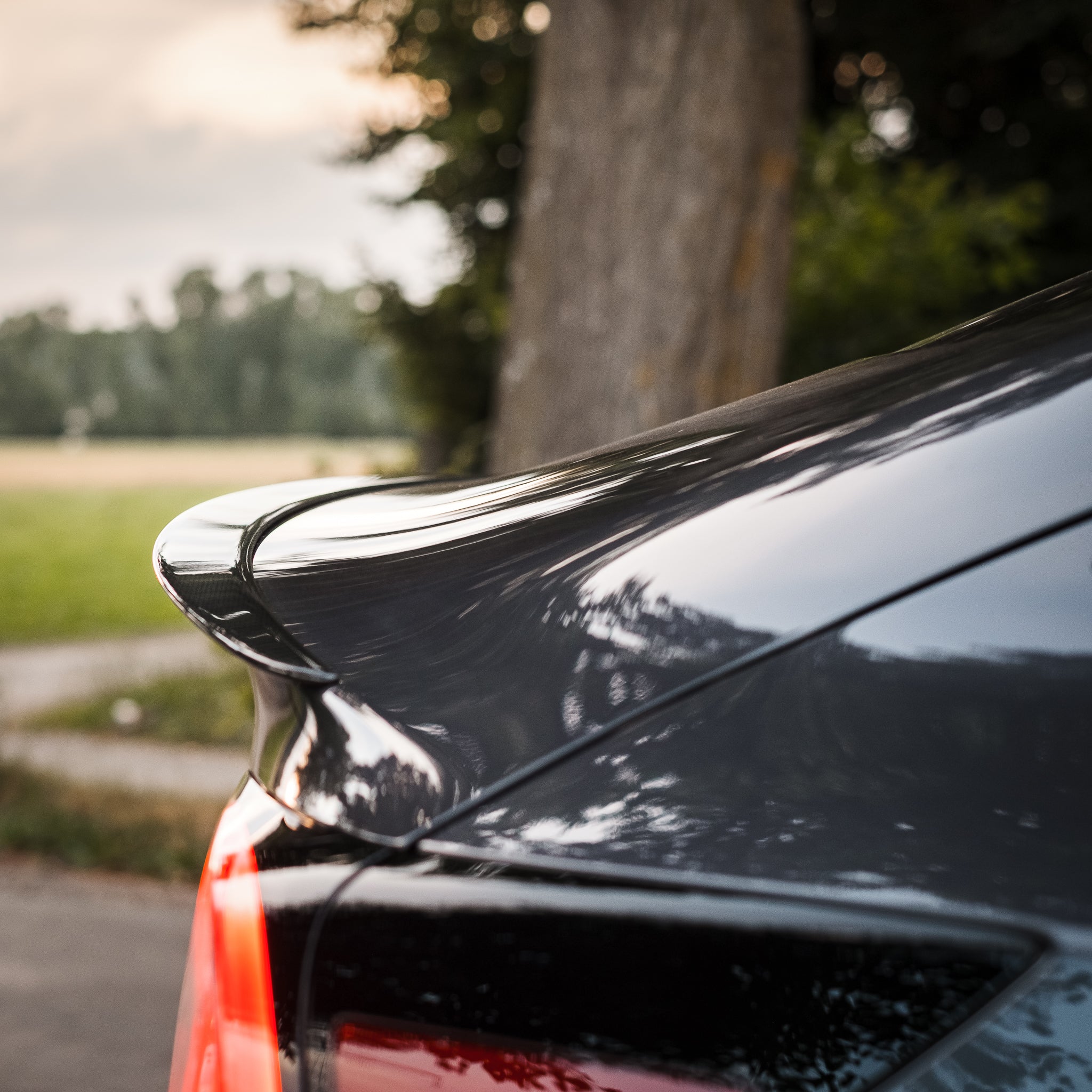 Tessi® Greenline Model 3 Heck Spoiler Echt Carbon Matt