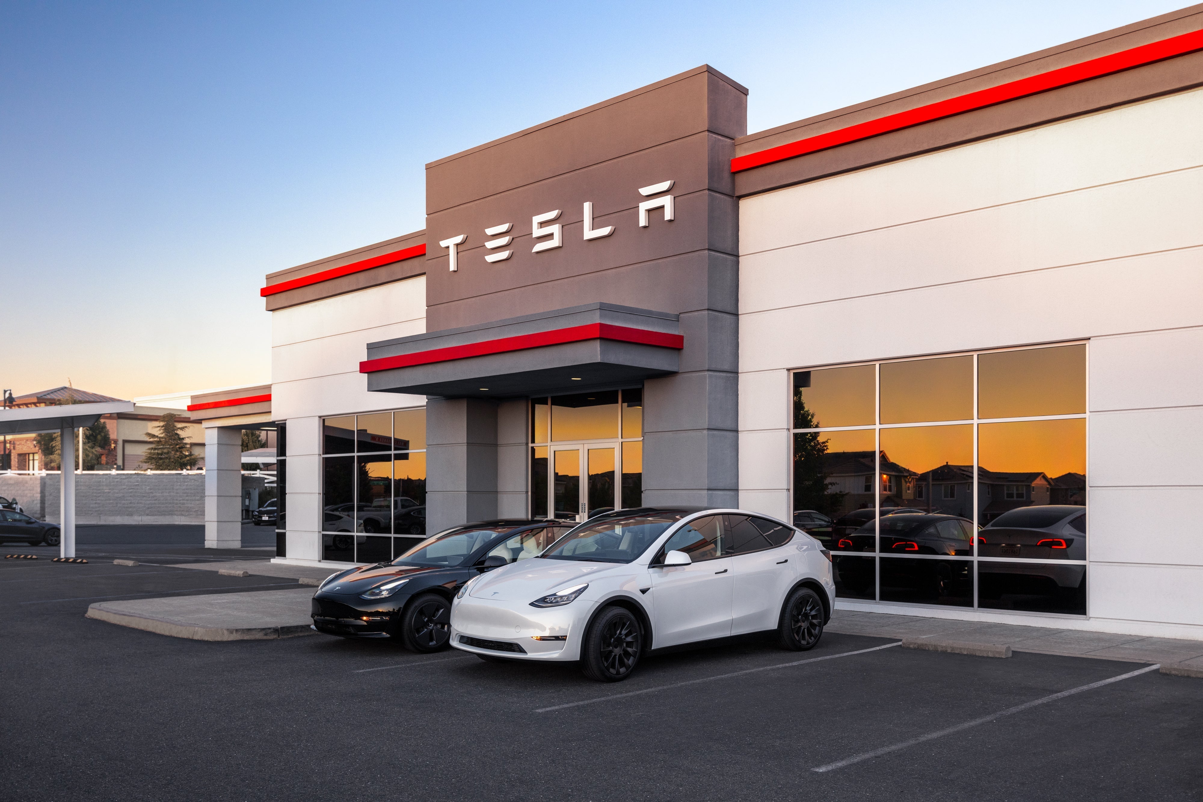  Couvercle de Rétroviseur Inférieur Remplacement pour Tesla  Model 3 2017-2023, Capuchon de Couvercle de Rétroviseur Latéral, Plateau de  Support de Couvercle de Rétroviseur Inférieur (Model 3-Droite)