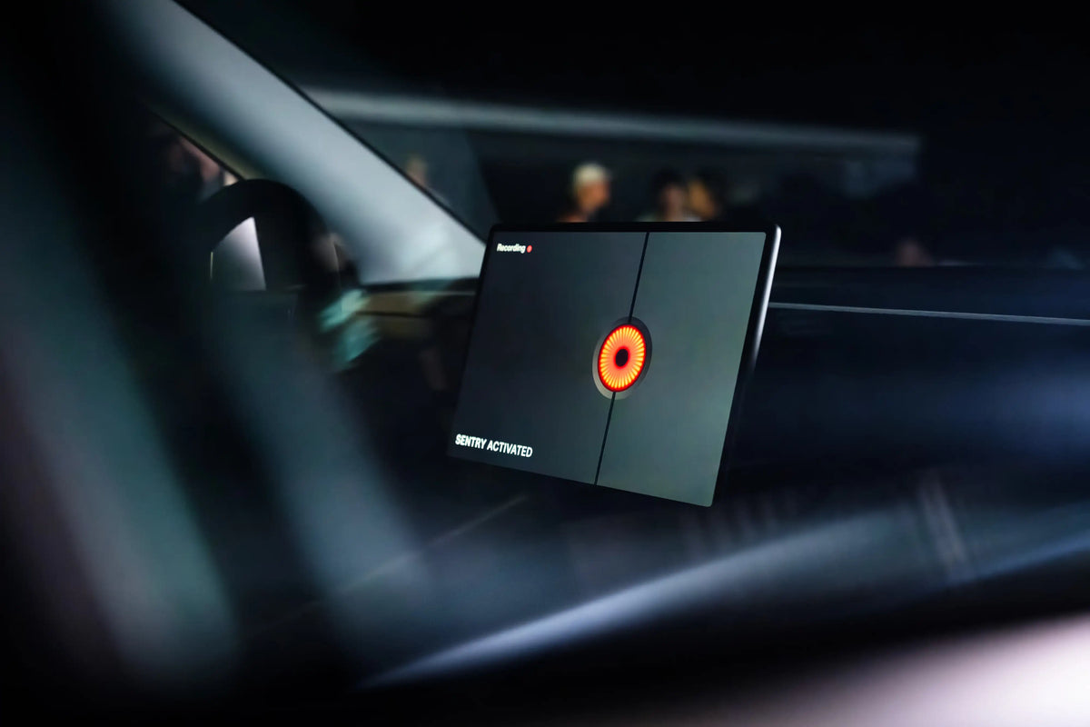 Tesla Wächtermodus