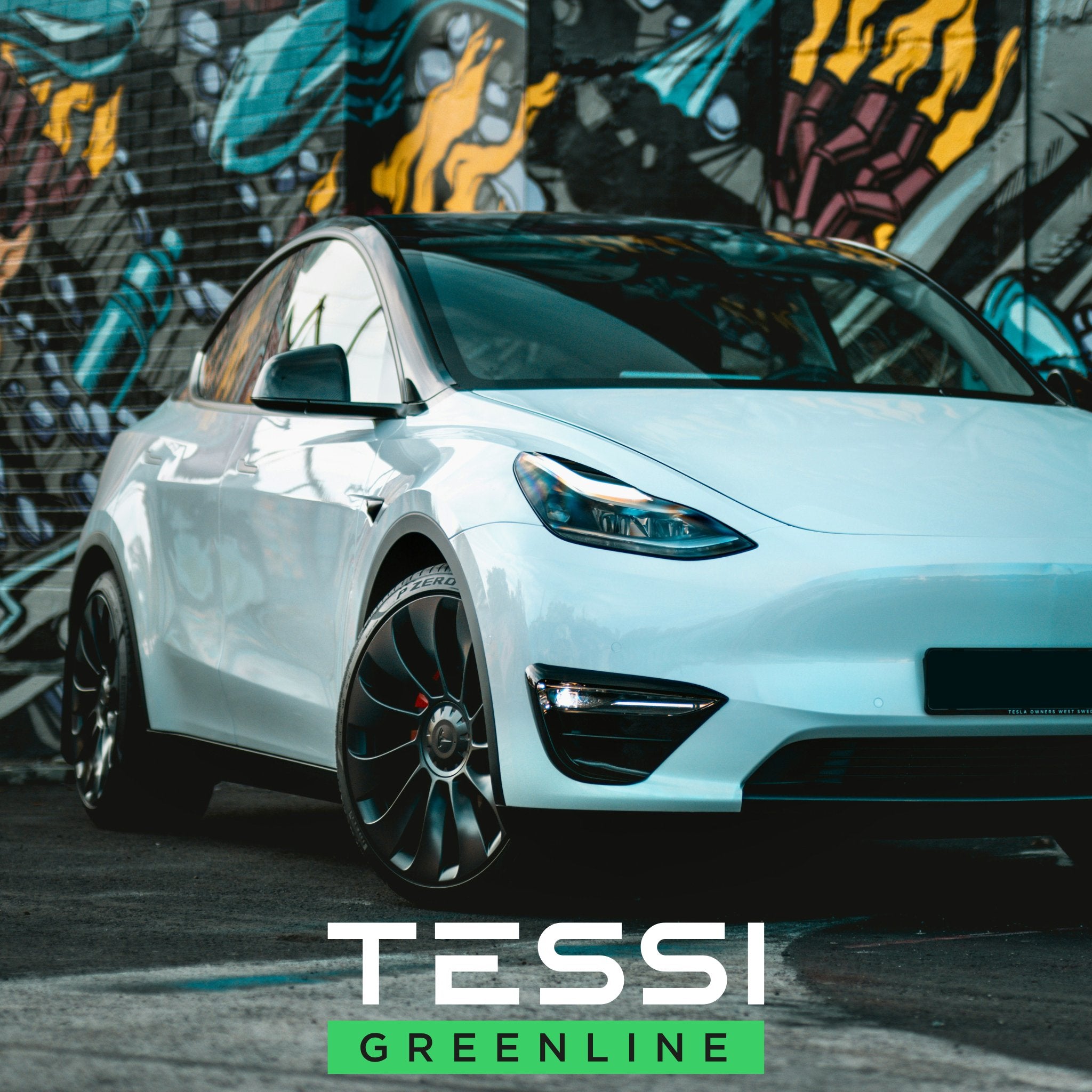Tesla Zubehör für Model 3 S , X und Y Individualisierug