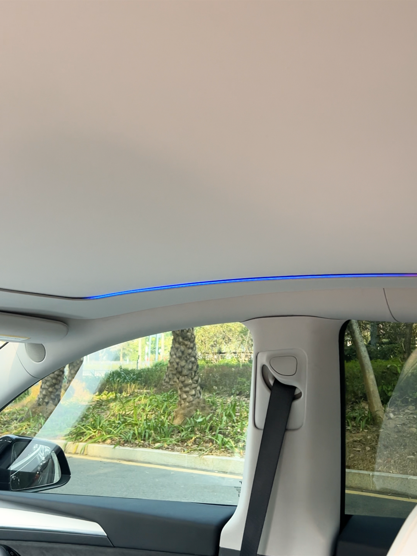 Tesla Model Y Juniper Sonnenschutz Grau mit Schiebefunktion Elektrisch & Manuell