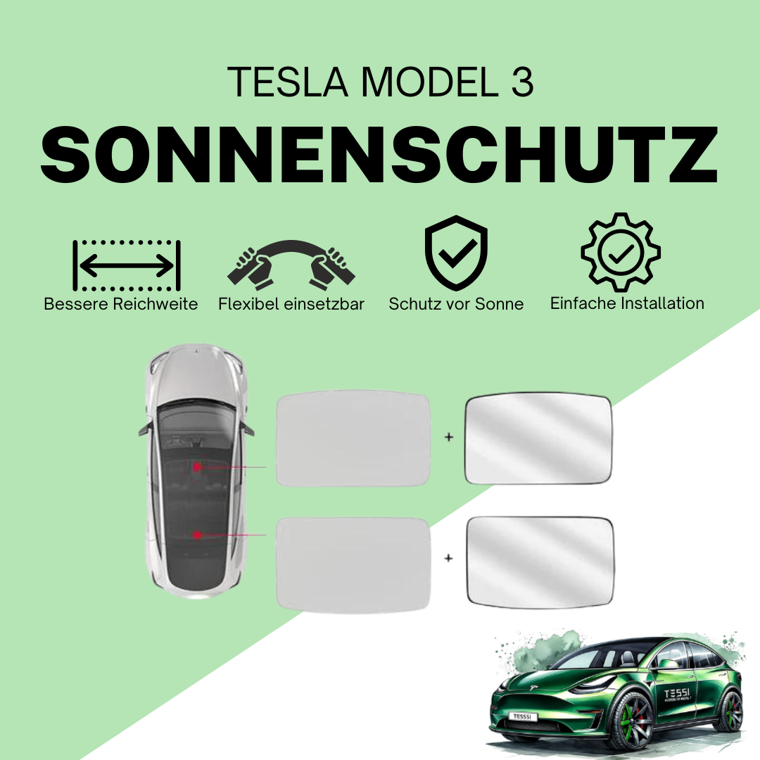 Model 3 Sonnenschutz & Sonnenblende (Hellgrau)